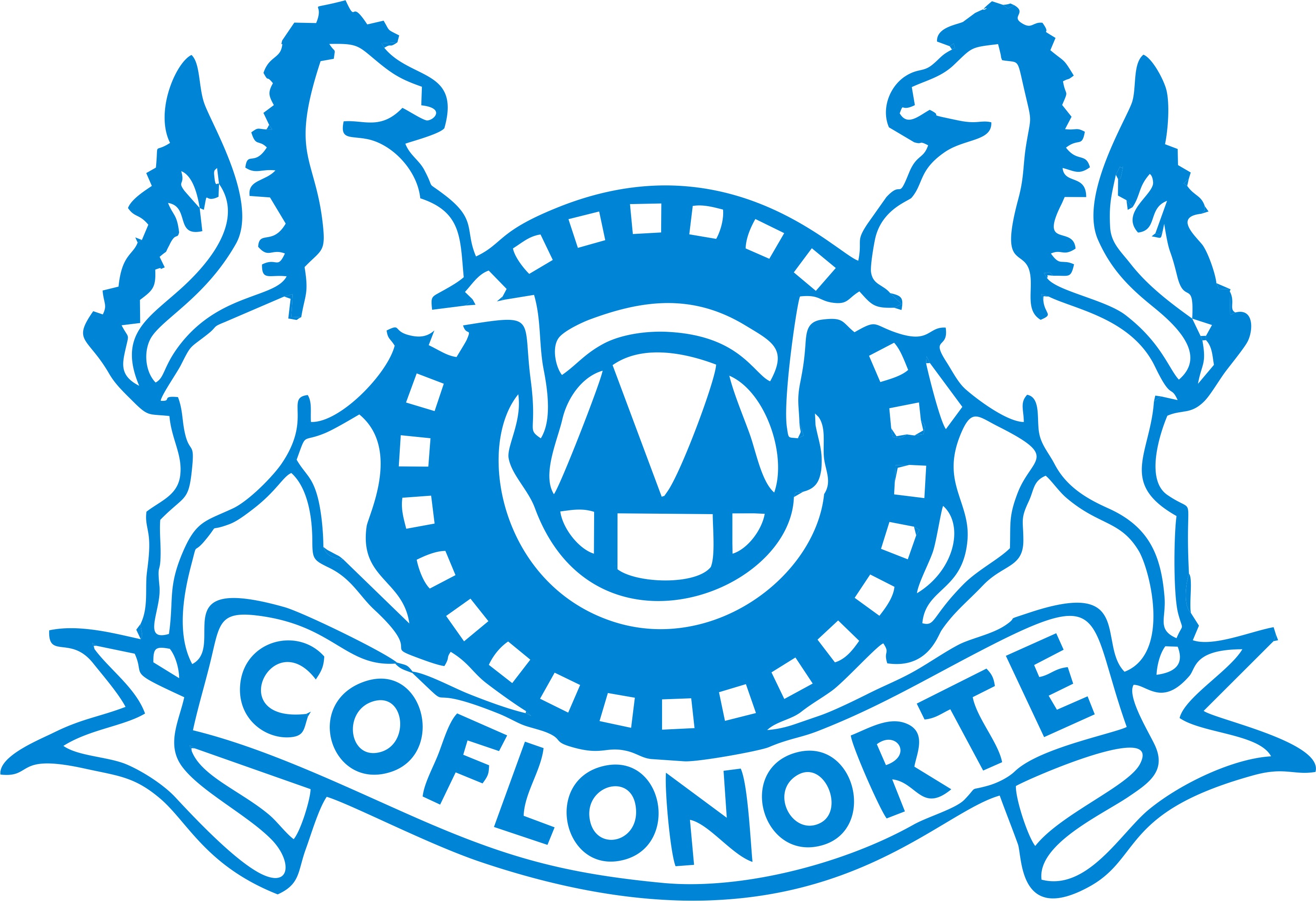 Coflonorte